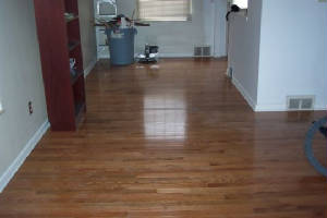 woodfloor5.jpg