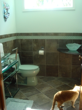 bathafterwithcat-8.jpg